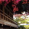 大原三千院、秋景色