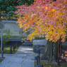 京都　青蓮院