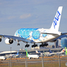 「令和」 ANA Honu A380-841 JA381A Landing 