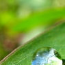 『Rain drop』雨上がりの空