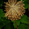 IMG_1708.jpg01