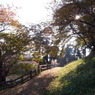 R0011101