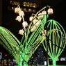 White Illumination 10