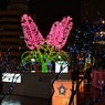 White Illumination 15