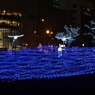 White Illumination 16