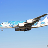 「あおぞら」Flying Honu A380-841 Landing