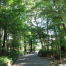 伊雑宮の参道
