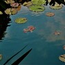 IMG_2494.jpg01