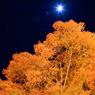冬の星空