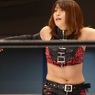 ワールドオブスターダム王座