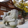 狛犬_阿智神社