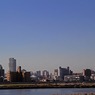 スカイツリーと富士山