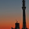 スカイツリーと東京タワー