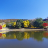 大仏池の紅葉2019