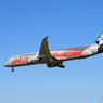 「青が好き」Etihad F-1 カラー787-9 ※ 良いお年を