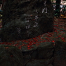 もみじ寺１４
