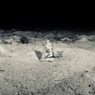 水の惑星