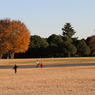 IMG_3901