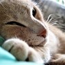 IMG_6587.jpg01