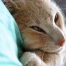 IMG_6595.jpg01