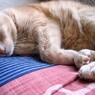 IMG_6608.jpg01