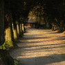 DSC01935