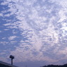 DSC01845