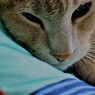 IMG_6631.jpg01
