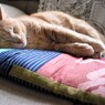 IMG_6646.jpg01