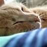 IMG_6647.jpg01