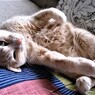 IMG_6672.jpg01
