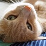 IMG_6675.jpg01