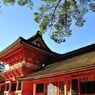 神社の朱