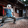 絶招大熊猫頂肘