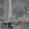 ツーリングの思い出画像　CZ100
