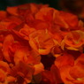 DSC00061