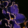 DSC00125