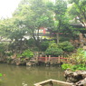 池