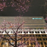 大丸心斎橋　その5