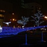 White Illumination 21