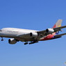 「空色」Asiana A380-841 HL7626 Landing  