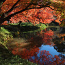 池に映る紅葉