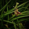 IMG_3000.jpg01