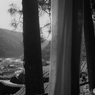 山里の神社から