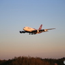 「青い日」Thai A380-841 HS-TUD Landing