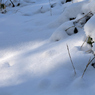 ふらり散歩  雪、白く      No,１