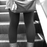 Leg