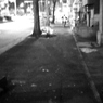 光の夜