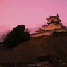 暮れる掛川城