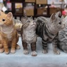 猫のオブジェ